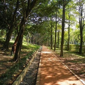 大安森林公園(Daan Park)